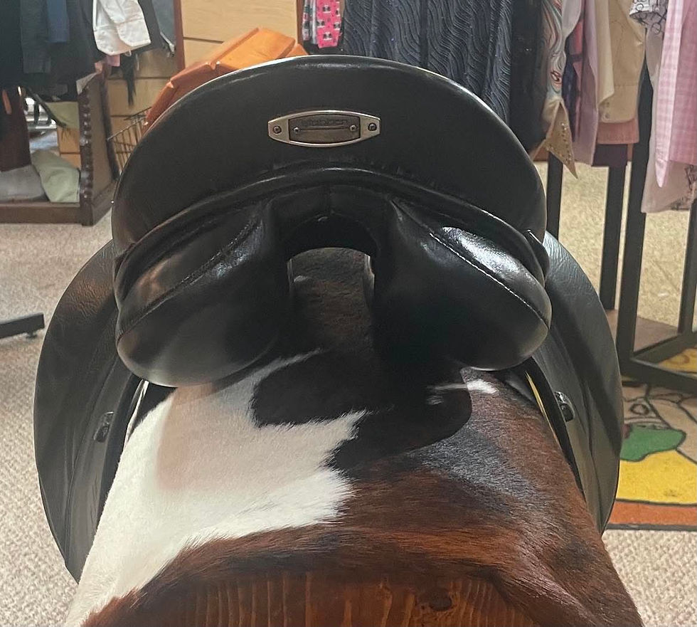 Thumbnail: 17.5" Stubben Maestoso Dressage Saddle - 31 cm MW Tree  #2B7Y93
