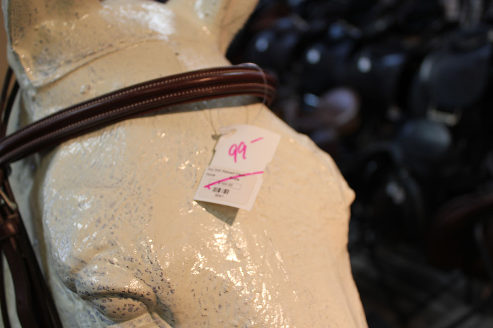 Thumbnail: Pro 24k Raised Flash Bridle #3041