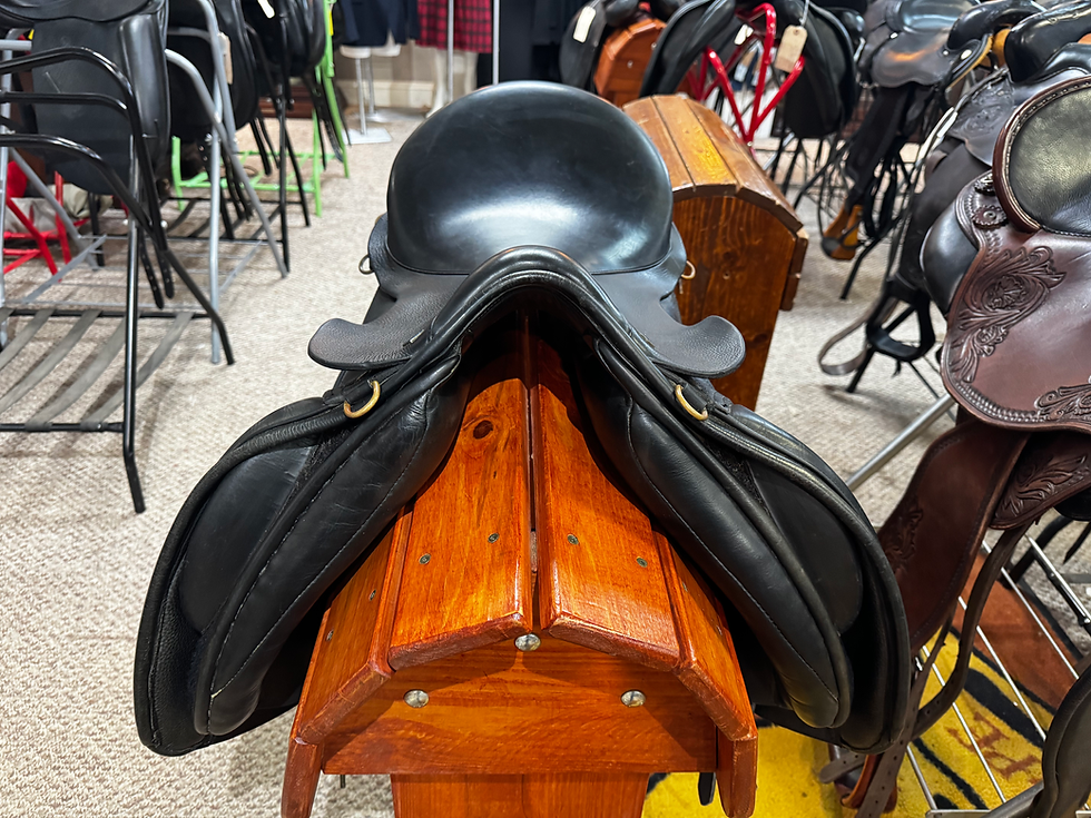 Thumbnail: 18” Hastilow Dressage #TR6VZD