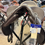 Thumbnail: 17.5” Bates Kimberly #F1NEQH