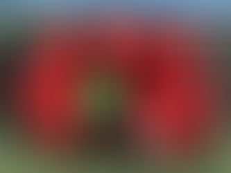 IWFF World Cup 60+ Qualifier - Leicester 21/4/19