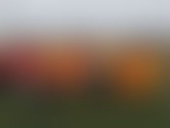 Boston Round Robin Friendly Dec 2017