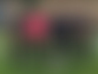 Louth Round Robin 16th September 2017