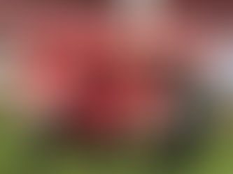 Northampton Town Tournament Sixfields 29th May 2018