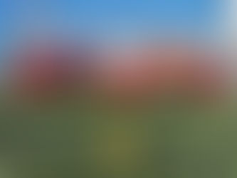 The Tinsel Trophy 2019/20