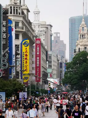 The Collapse of the Chinese Labour-Supply System in the Short and Long Term