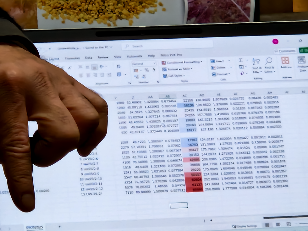 The colour coded display highlights the relative ages of the soils