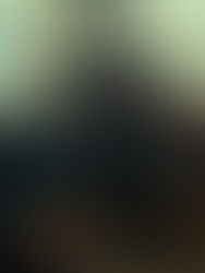 Polski osiołek z szansą na Oscara! "IO" Jerzego Skolimowskiego ma nominację #FILM