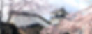 掛川城_編集後.jpg