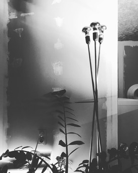 ROSANNA - LIGHT