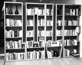 A LIFE OF LOVE - BOOKCASE