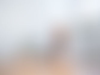 More About Tara Morris, Chief Brand-Builder at Ellie Brands