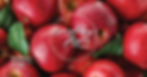 Everything Apples Dinner