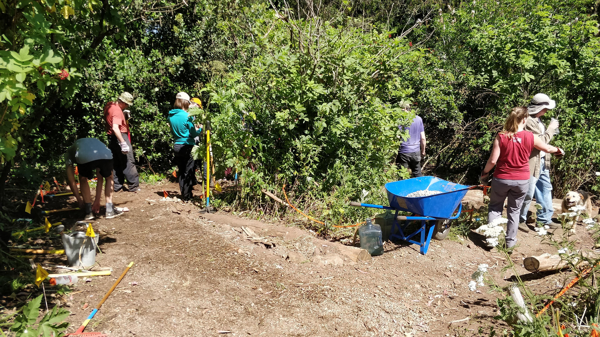 Trail Realignment 1