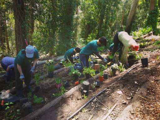 Job Opening: Stewardship Coordinator