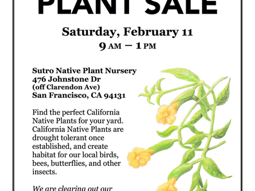 Winter Plant Sale: February 11