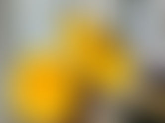 a yellow rose and a yellow sunflower with a yellow pillow with white writing on it is in the background