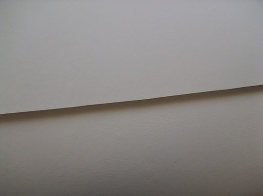 Formula white 1.jpg