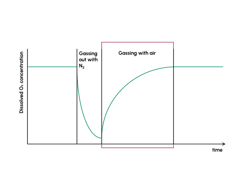 Dissolved oxygen concentration graph over time in a cultivation process with air gassing.
