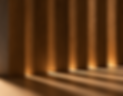 Annapurna_Tarimatec.png