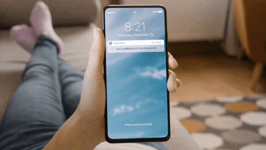 Notifications.gif