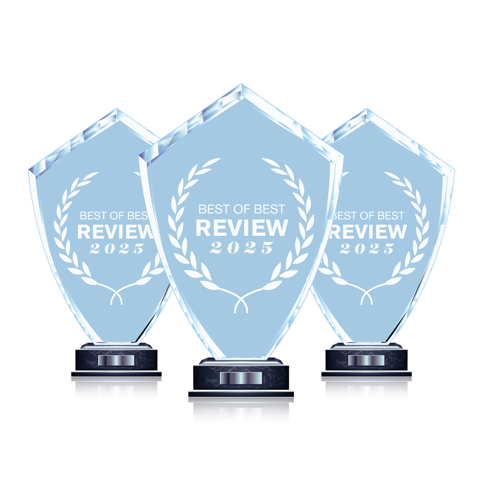 Winner of Best of Best review - Best Digital Marketing Agency in Australia 2025