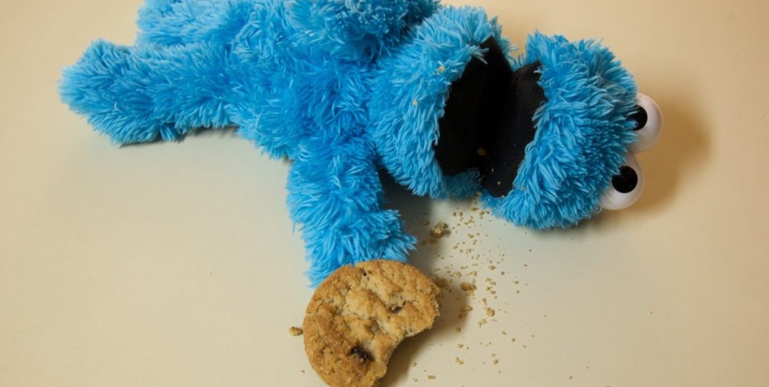 The cookie apocalypse is coming...and nobody is talking about it. What is your brands plan?