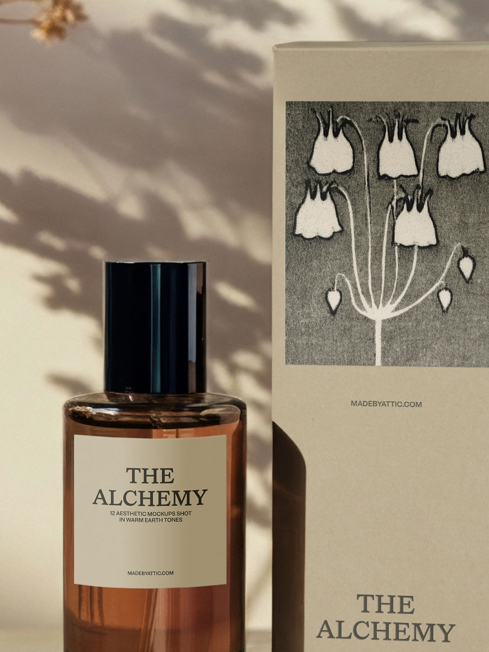 Thumbnail: Perfume bottle mockup beside its carton on a plinth with dried flower shadow on the wall