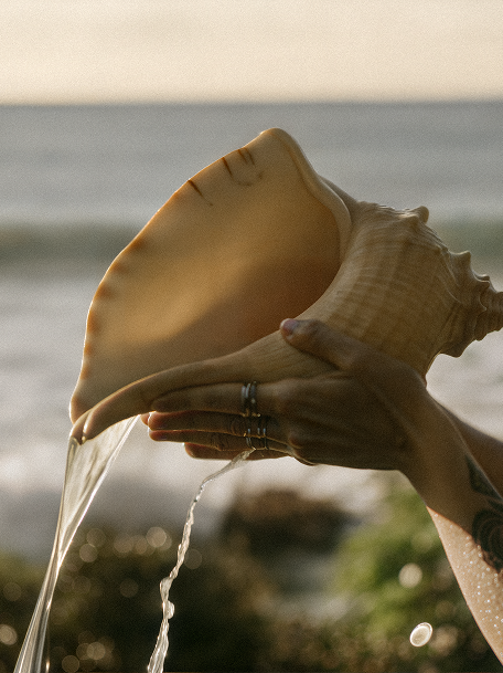 Close-up of the Greenscape collection description highlighting deep moss, wild ferns, and dappled light textures.