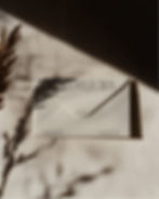 Closed horizontal envelope lying on a textured beige surface, covered by a dark curved shadow and the silhouette of dried gra