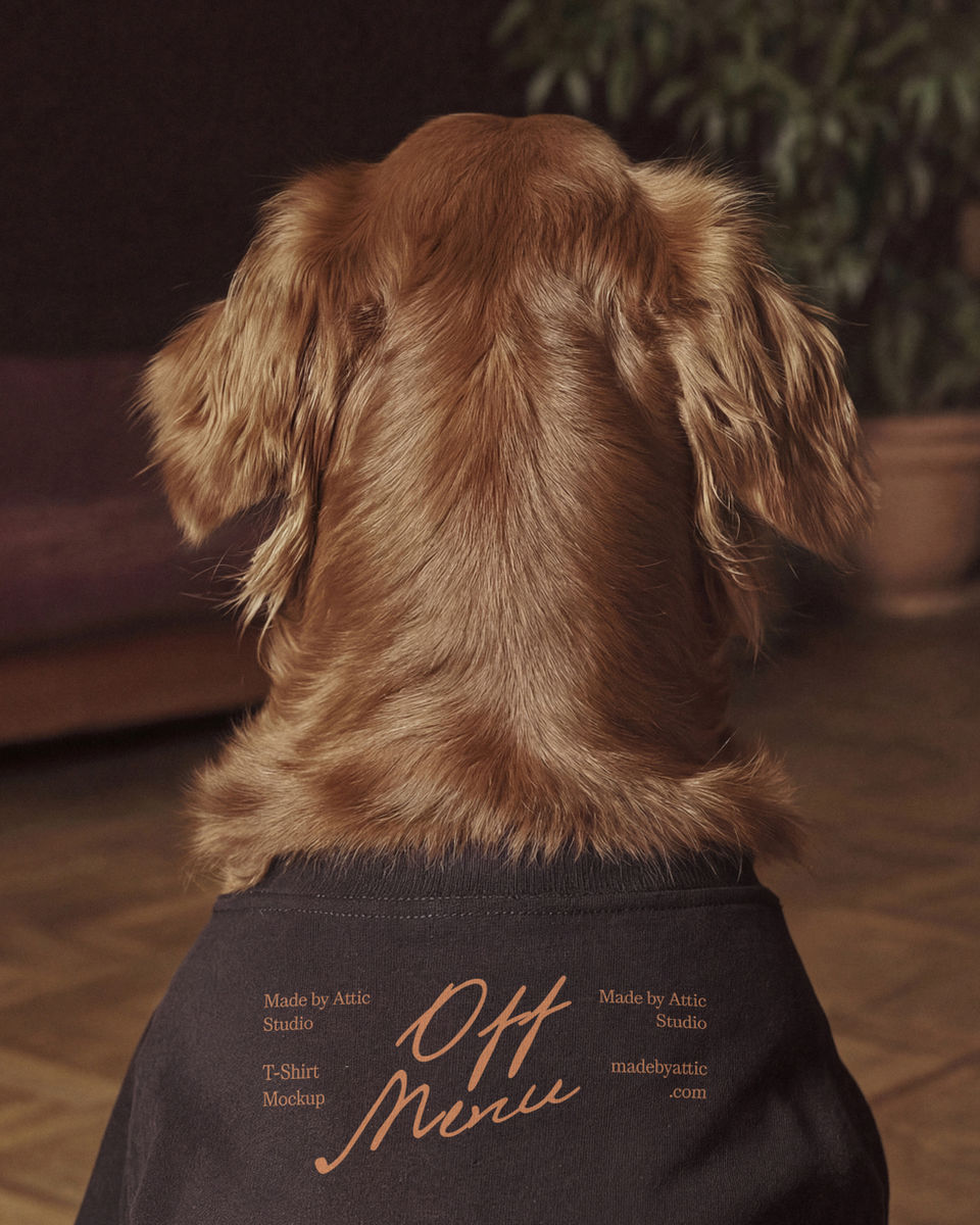 A high fidelity t-shirt mockup on a golden retriever viewed from behind in a warm, blurred interior setting.