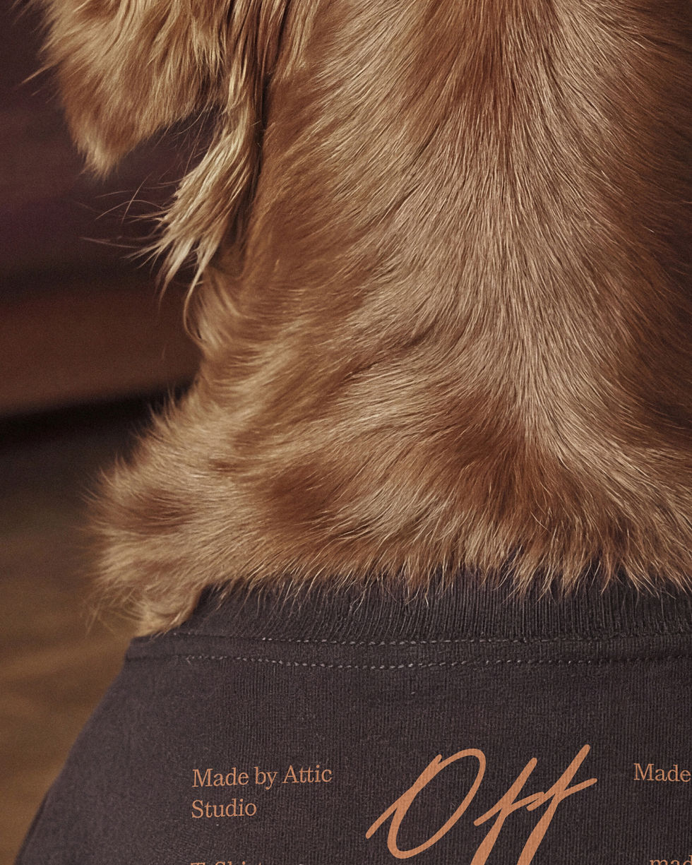Thumbnail: A high fidelity t-shirt mockup on a golden retriever viewed from behind in a warm, blurred interior setting.