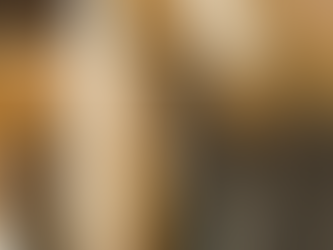 SLTF Night Windfall multilingual editorial serif font introduction poster by SilverStag Type Foundry on textured cream background