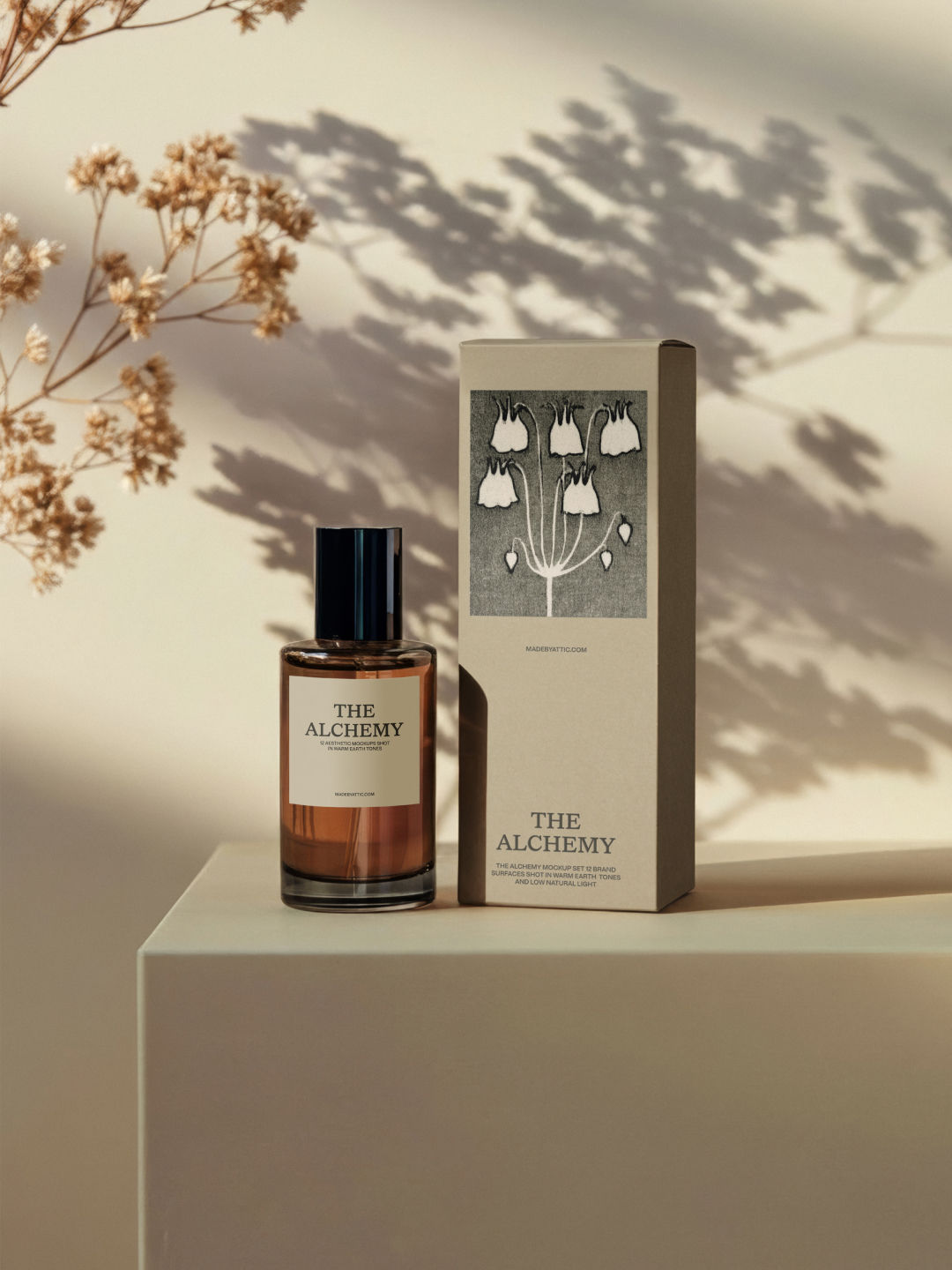 Perfume bottle mockup beside its carton on a plinth with dried flower shadow on the wall