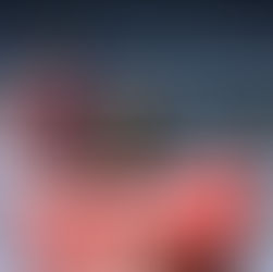 Hyr kanot & kajak
på SKOKLOSTER 4H