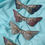Thumbnail: butterfly hair clip crystal  violet pinkdark blue