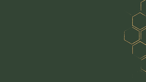 Insta background (5).png