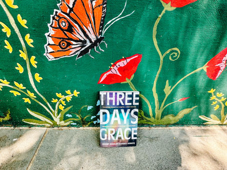 Three Days Grace by Jeremy Bradley-Silverio Donato Review