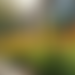 Transform Your Outdoor Space with Flower Bed Makeovers