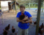 Scot and the chickens