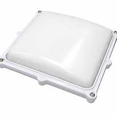 LED Marine Overhead Light Fixture