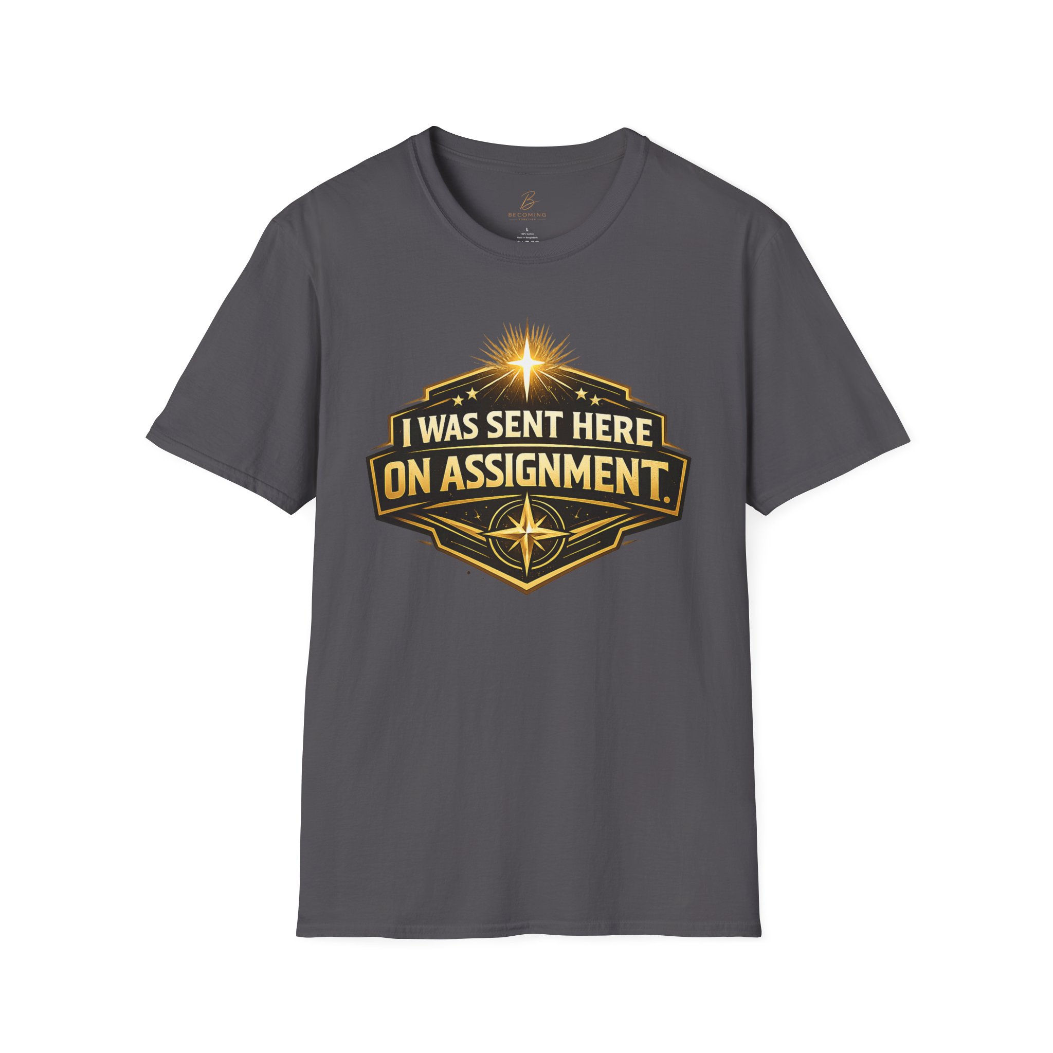 The Assignment