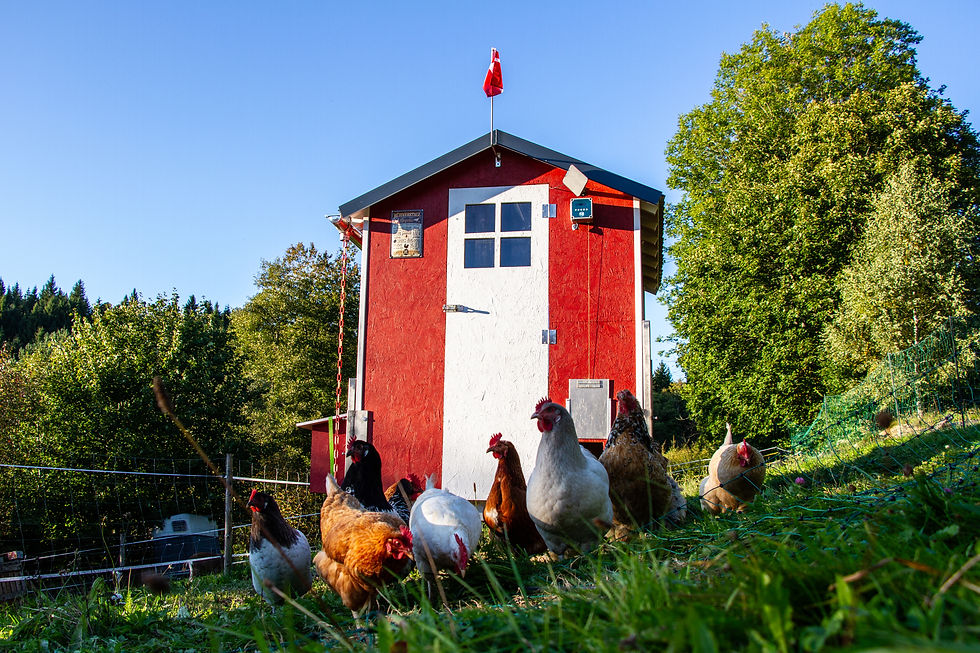 Dieses Bild erinnert mich an eine Boyband und ihr Album-Cover - liegt das an mir oder geht es andern auch so?