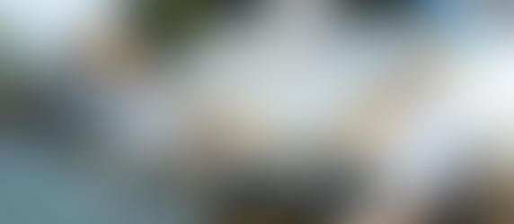 Securing Financial Transactions: The Imperative of Dedicated Leased Line Fiber Internet in Banking.