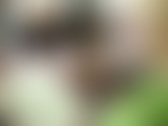 Você é capaz de confiar que seus filhos irão educar a si mesmos?