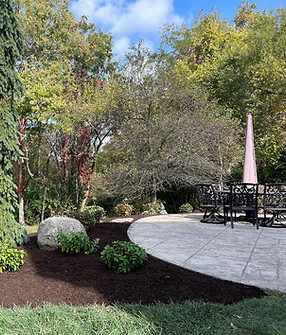 schirmer back yard.jpg