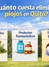 ¿Cuánto cuesta eliminar piojos en Quito? (Precios y opciones 2026)