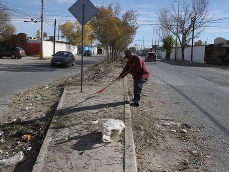 Realiza Parques y Jardines mantenimiento en parques y camellón en Rincones de Salvárcar