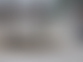 Realiza Parques y Jardines labores de mantenimiento en la avenida Santiago Troncoso