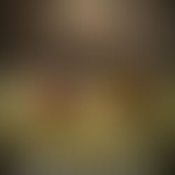 2026 Exhibits and Events